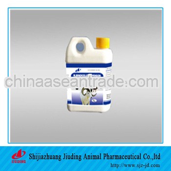 Veterinary drug pharmaceutical medicine Multivitamin oral solution of poultry medicine distributor