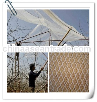 Virgin HDPE anti hail net