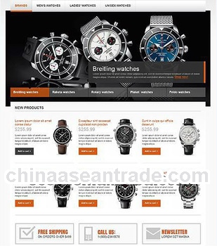 Watch customize website service, online selling e-commerce website and seo