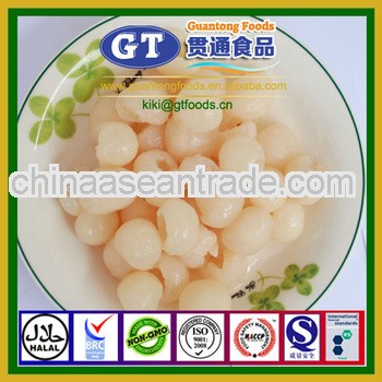 Wholesale price canned longan in syrup