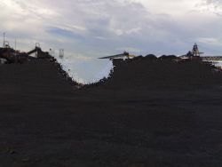 n Steam Coal