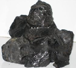 Steam Coal