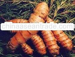 Turmeric