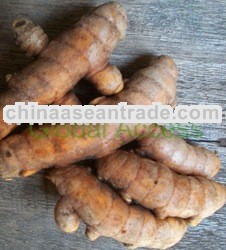 Fresh Turmeric