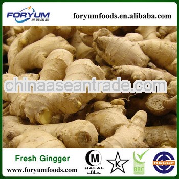 air-dried ginger