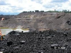 INDONESIAN STEAM COAL NAR5500-5300