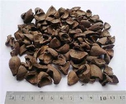 PALM KERNEL SHELL