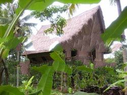 Antique Wooden House