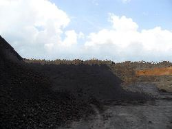 STEAM COAL FROM INDONESIA