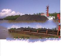 Borneo Steam Coal