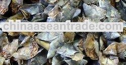 Dried Fish