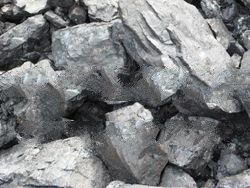 Steam Coal