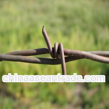 barbed wire steel/factory/low price