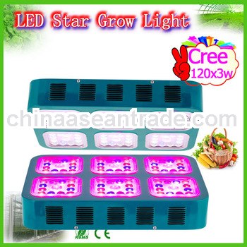 best price flower delivery aeroponic mushroom growing kits cree grow light led