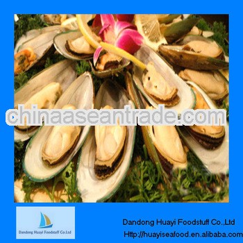 best quality iqf mussel meat