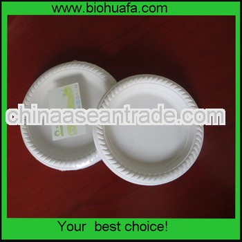 biodegradable disposable charger plate for fruit or food