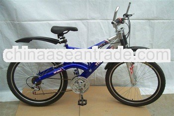blue mountian bike