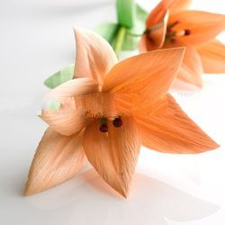 cornhusk dried flowers
