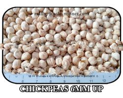 White Chana 6mm up