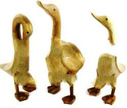 BAMBOO DUCKS 04