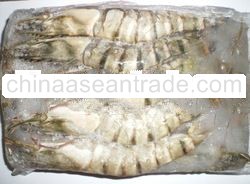 Black Tiger Prawn