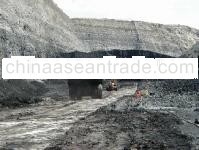 Steam Coal And Raw Coal