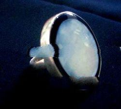 Round Shell Ring