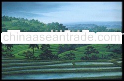 rice paddy