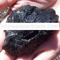 Steam Coal