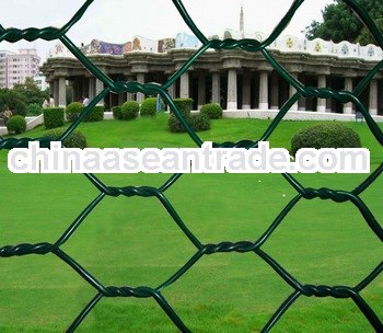 chicken coop hexagonal wire mesh