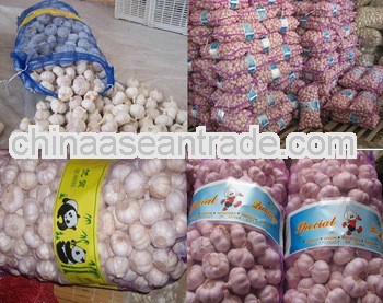 china garlic 2012 price so cheap