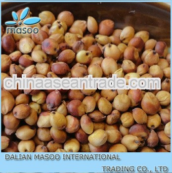 chinese organic sorghum for sale-11