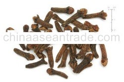 Sell Clove Origin appears logical (Dried)