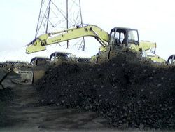 Steam Coal