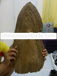 agarwood tarakan super 850 gram