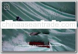 A319 (Batavia) aircraft miniature