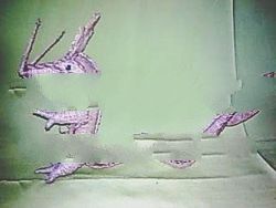 Dragon Vetiver Craft