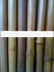 BAMBOO FENCING POLES