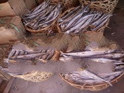 dried fish