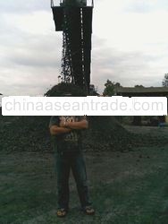 Steam Coal