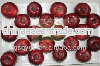 dealer of huaniu apple