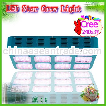 designer goods from china cree led grow light 2013 looking for exclusive distributor
