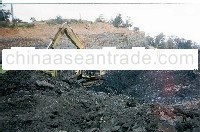 Steam Coal