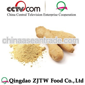 dried Ginger export Prices