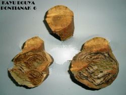 Kayu Buaya Incense wood