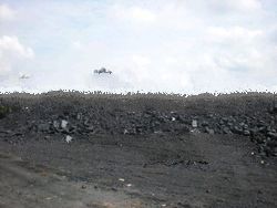 Sell Indonesian Coal