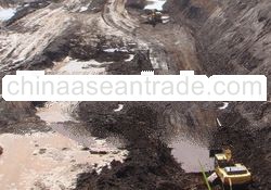  Thermal Coal