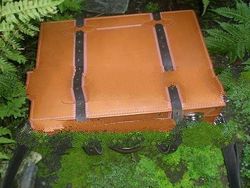 leather luggage