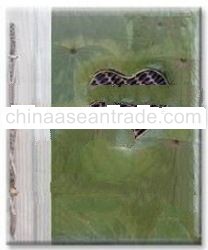 Natural Recordable Photo Albums