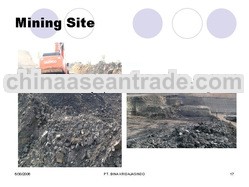 Steam Coal